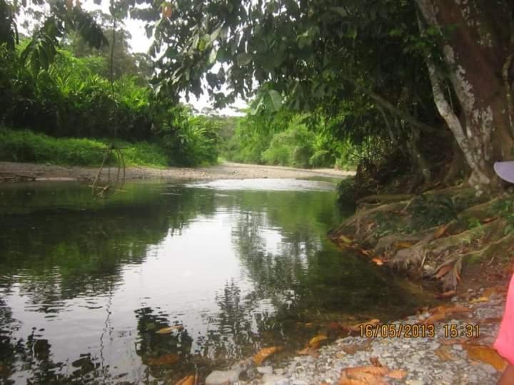 Lucky Bamboo'Bungalows-Resto And Orangutan Jungle Trekking Tours Bukit Lawang Exterior foto