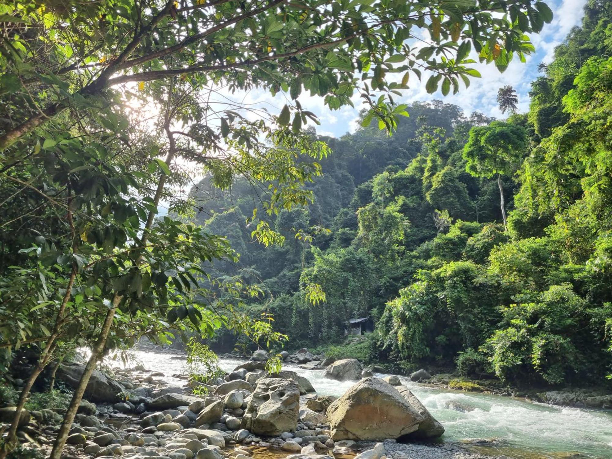 Lucky Bamboo'Bungalows-Resto And Orangutan Jungle Trekking Tours Bukit Lawang Exterior foto