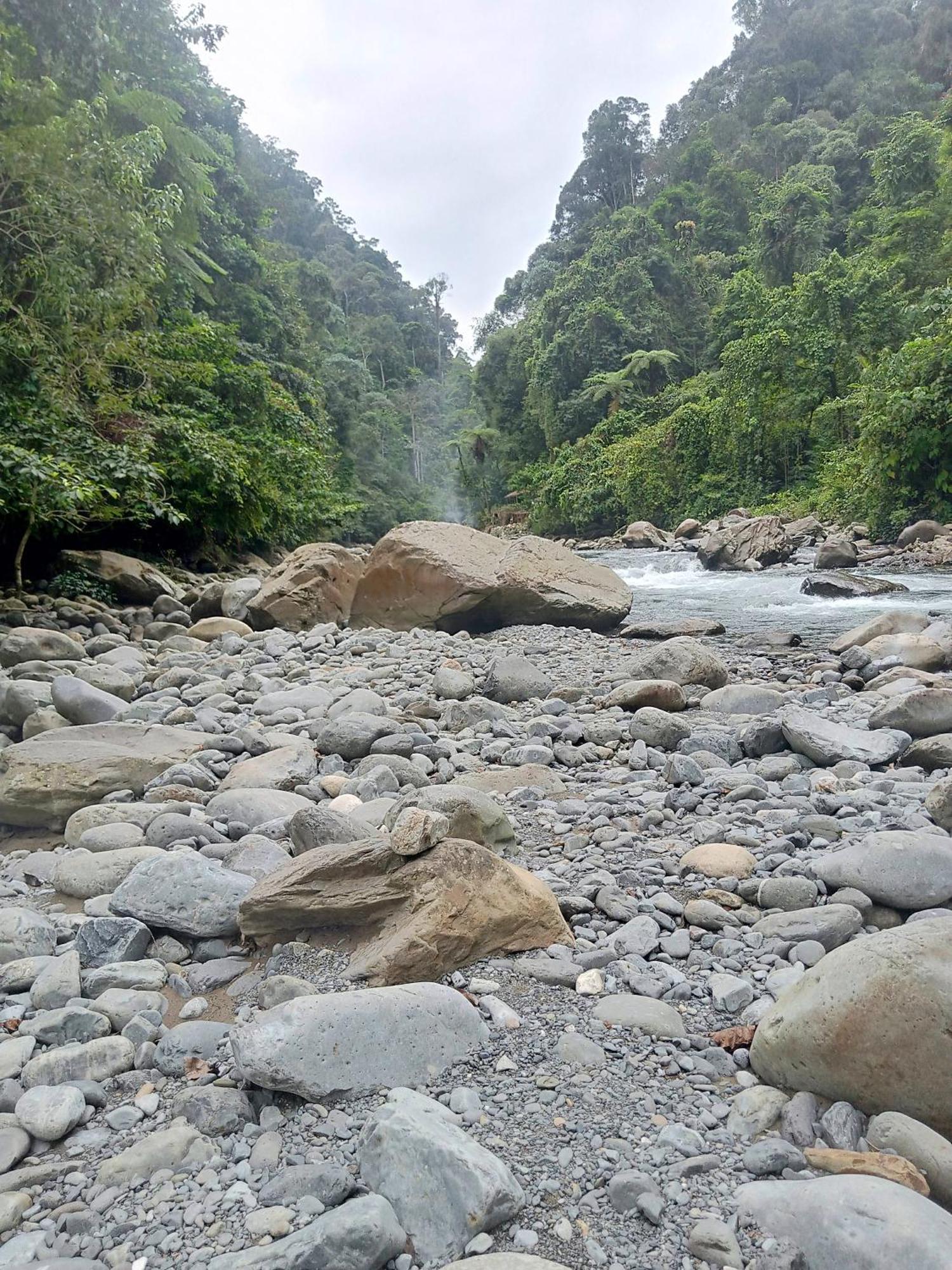 Lucky Bamboo'Bungalows-Resto And Orangutan Jungle Trekking Tours Bukit Lawang Exterior foto